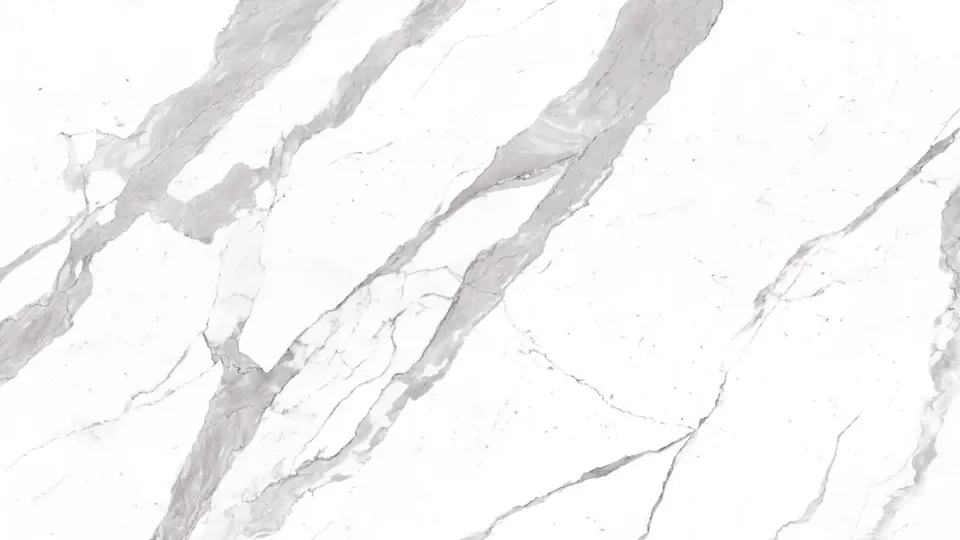 BIANCO STATUARIO VENATO
