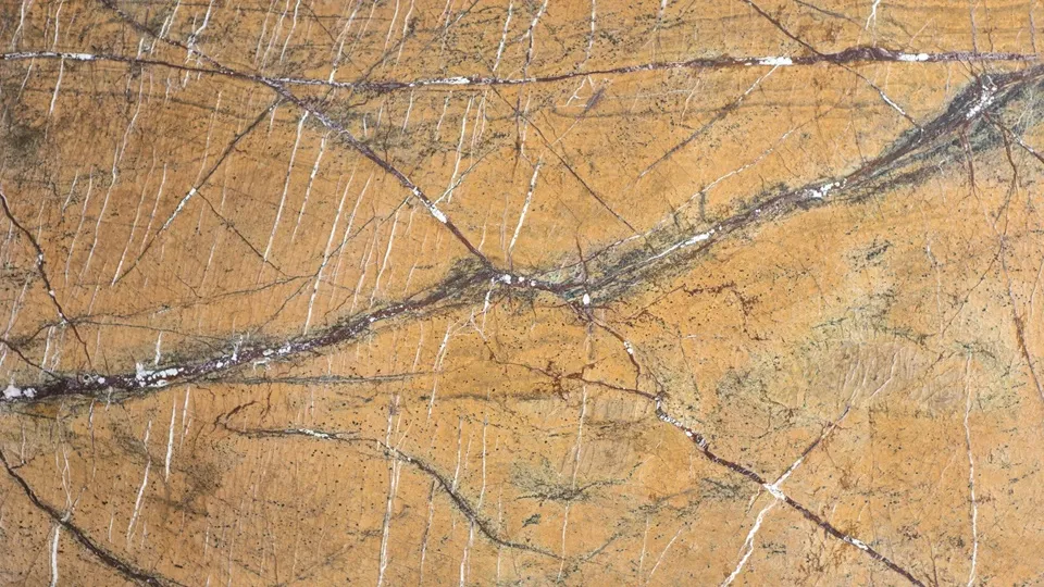 RAIN FOREST GOLD 1