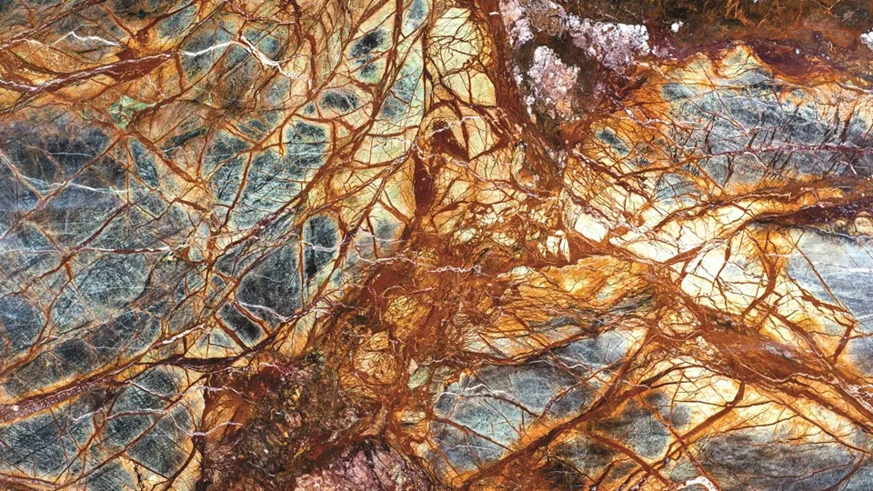 RAIN FOREST GOLD 2