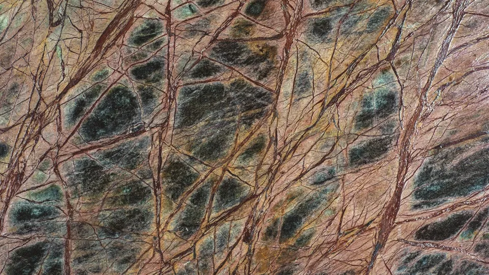 RAIN FOREST GREEN 2